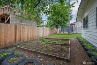 Garden area