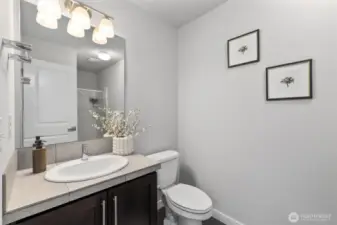 Lower level bath with shower