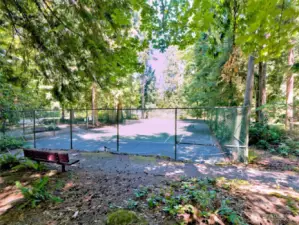 The neighborhood has a community athletic court.