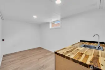 Bonus room with bar/sink in basment