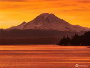 Nothing short of extraordinary, this home was featured on HGTV’s Beach Hunters, this stunning NW Estate offers vacation-style living every day. Very rare opportunity to own a truly magical property: Sparkling waterfront with commanding Mount Rainier, Puget Sound and Cascade Mountain VIEWS & stunning sunrises, eagles, seals, and orcas is where nature & privacy converge for the ultimate luxury escape. Spacious interiors w/4 bedrooms & 3 flexible bonus spaces; Private entry full 2-bed MIL. Tie up to your own buoy, beachcombing and adventures & Seattle views on this epic 150 feet of waterfront. Immerse yourself in a top Puget Sound Island known for its excellent amenities and true Island Life feel while enjoying all the paradise this property offers! Close to the Seattle ferry & town.