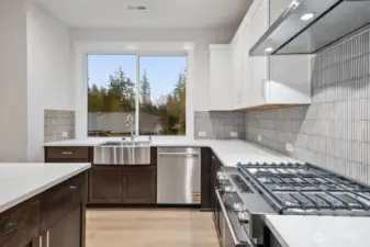 KitchenAid stainless appliances and hood vent. Soft close cabinets with roll out shelving
