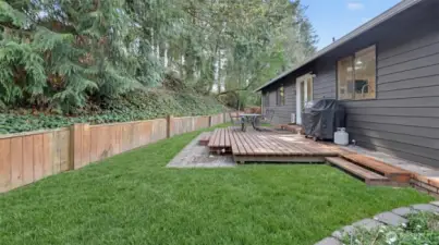 Green grass photoshopped in.