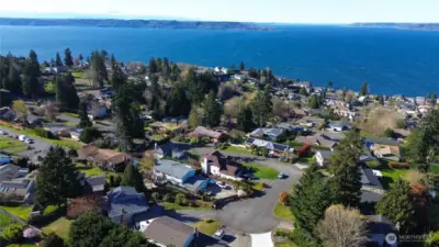 Aerial View,Watch Eagles Fly Above!