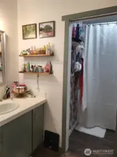 Main bathroom, used as master but not located in the master bedroom.