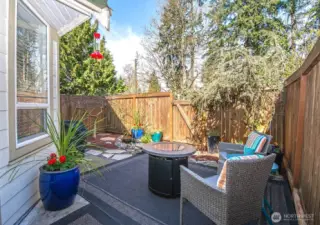 Back patio & yard. Gate to green space.  Walk to Emorys and Silver Lake