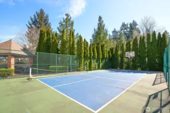 pickleball/basketball