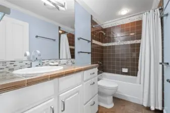 One of the 4.75 bathrooms in this estate, this elegant full bath downstairs features premium fixtures and tasteful design, providing comfort and convenience for guests and residents alike.