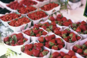 Stop by the Madrona Farmer's Market: located less than half a mile away & open every Friday 3PM-7PM, May through October.