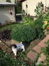 Garden in bloom