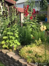 Garden in bloom