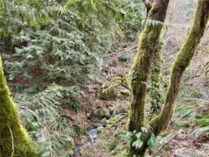 Waterfall on lower section