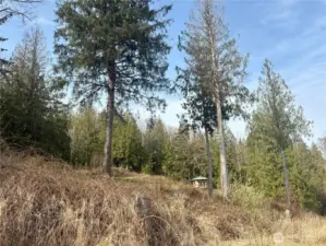 Upper section