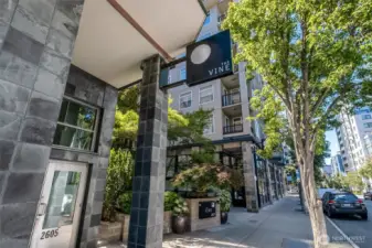 Welcome to The Vine - an elegant entry into Belltown living, where contemporary style meets coastal charm at Vine & Western.