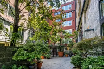 A peaceful retreat in the city! The Vine’s lush courtyard entrance invites you home with greenery, calm, and quiet sophistication