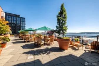 You’ll never want to leave, The Vine’s rooftop deck offers sweeping southwest views of the Olympics, Mt. Rainier, cruise ships, ferries, sailboats, and the vibrant pulse of city life