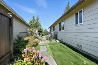 Fully Fenced Yard