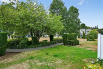 Looking from the Patio to the communal Yard Space
