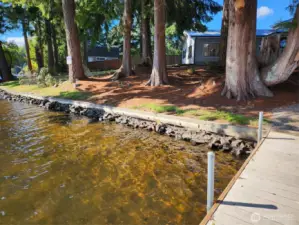 Small bulkhead at the shore. No/low bank