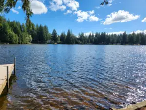 This is a skiing motor boat lake.