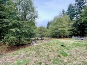 Pasture area
