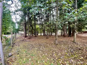 From corner of 253rd and 60th - fully fenced!