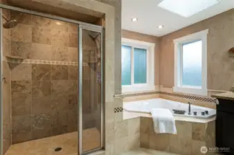 Primary shower & bathtub.