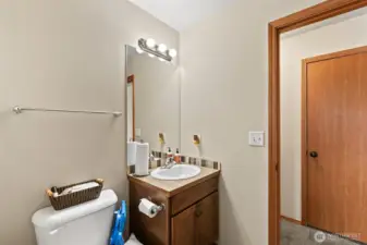 Lower Level Bathroom