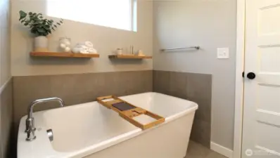 Primary Bathtub