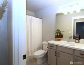 Downstairs Full Bathrooom