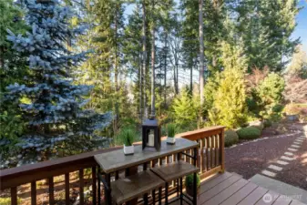 View from the back deck. Great for bird watching