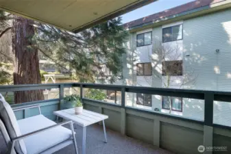 Nice sized covered balcony for year-round enjoyment. Sip coffee, watch the birds, and breathe in the fresh coastal air.