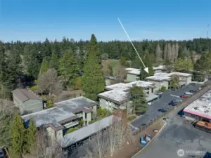 Aerial view looking NE. This home offers a nice blend of privacy and convenience.