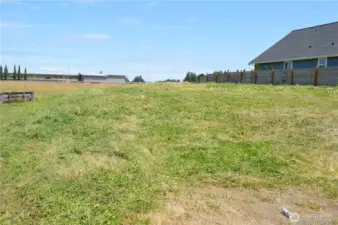 Looking NE from SW corner of lot