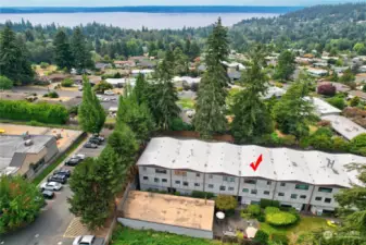 Aerial View Shows Parking Lot on Left, Shielded by Trees, Opens to QFC & a Host of Other Businesses & Restaurants.