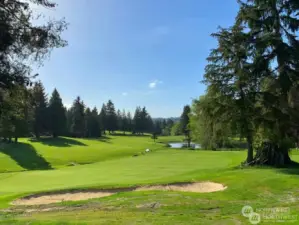 Lovely Port Ludlow Golf course 3 minutes to the clubhouse for golf or a bite to eat. Enjoy the community greens with your friends or work colleagues.