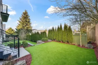 Turf backyard