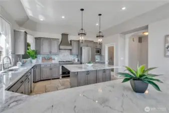 Magnificicent gourmet kitchen with walk in pantry & all appliances included.