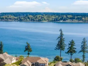Henderson Bay & Mt. Rainier