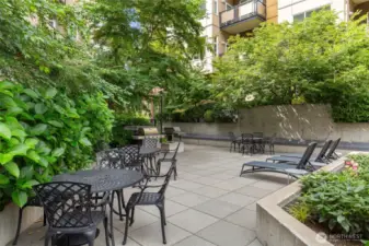 Landscaped amenities plaza with furnished deck and BBQs.
