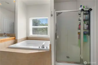 Primary en-suite bath
