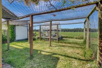 Dog run/pet enclosure