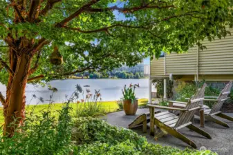 Here is the other angle from the garden sitting area. There is a seal bathing on the dock out there on the water.  It stayed during the entire photo shoot.