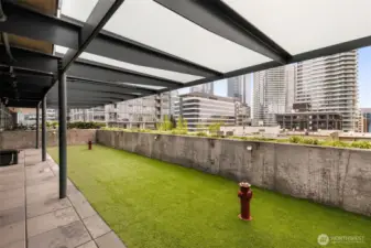 & a dog run with wash station