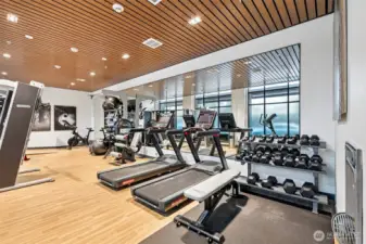 State-of-the-art fitness center equipped with professional-grade cardio and strength training tech
