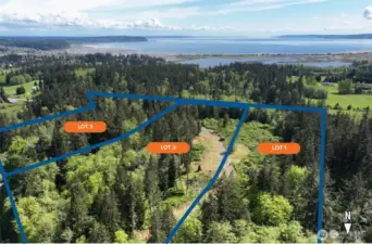 3 Buildable Lots in Langley WA