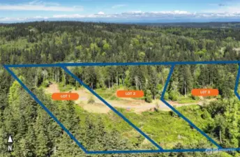 3 Buildable Lots with Water and Power Onsite