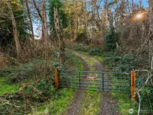 Private 3 Lot Short Plat - Build on 1, 2 or all 3!