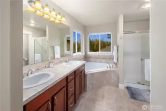 Primary Bathroom with a Skylight