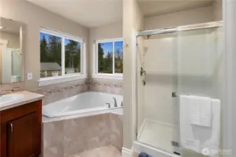 Soaking Tub and Shower
